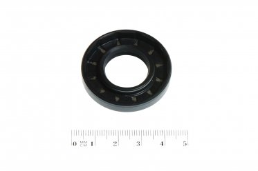 Oil seal